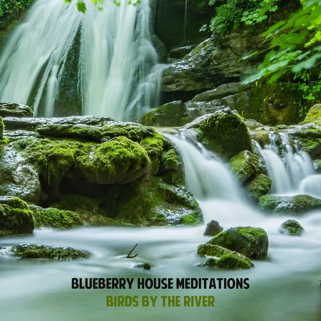 Blueberry House Meditations