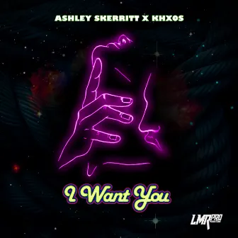 I Want You by Ashley Skerritt