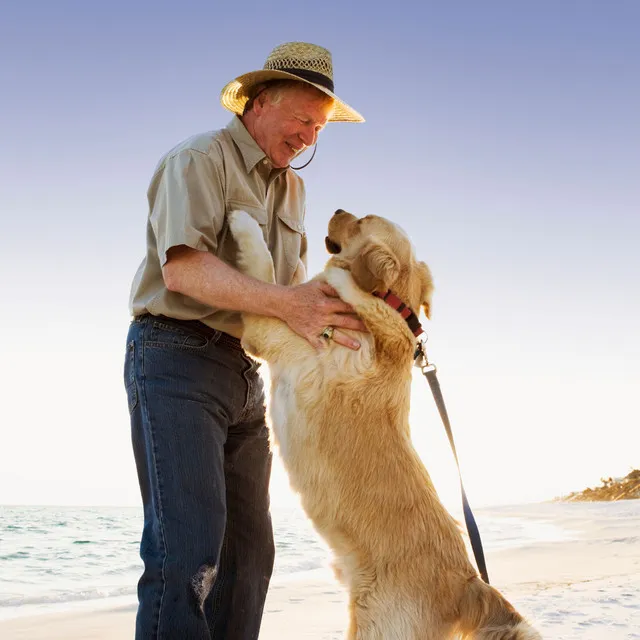 Oceanic Furry Bliss: Serene Binaural Waves for Pets