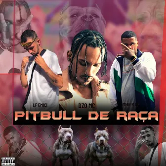 Pitbull de Raça by LFEMICI