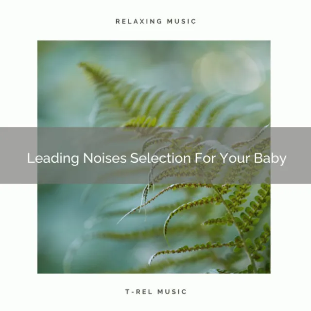 Leading Noises Selection For Your Baby