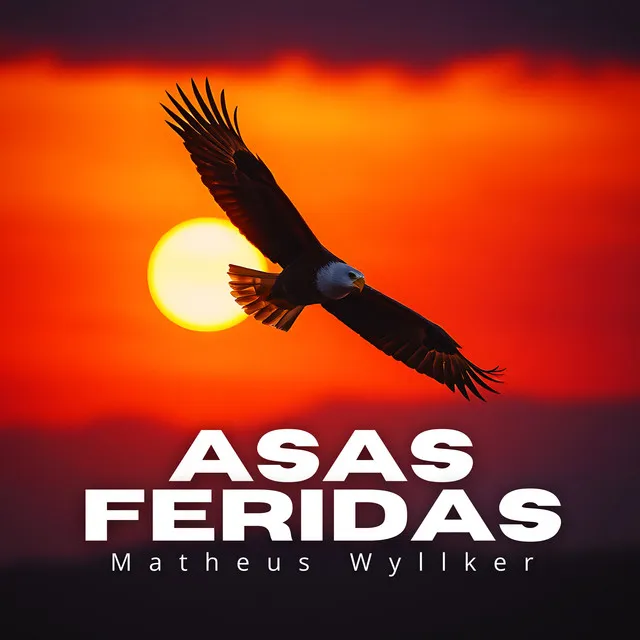 Asas Feridas