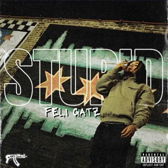 Stupid by Feli Gatz