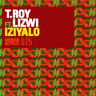 Iziyalo (feat. Lizwi) by T.Roy