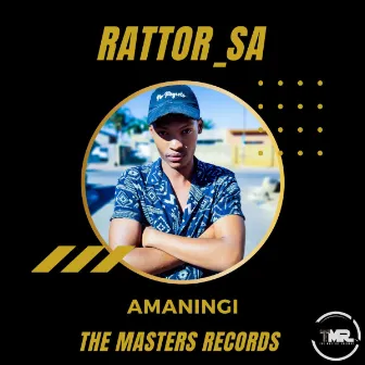 Amaningi by Rattor