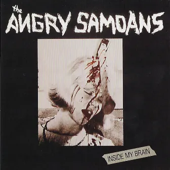 Inside My Brain by Angry Samoans