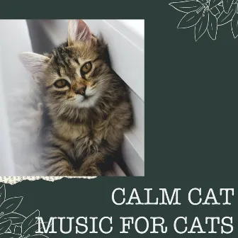 Calm Cat: Music for Cats by Calm Cat