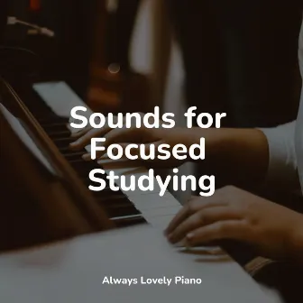 Background Piano Music to Meditate by Concentrate with Classical Piano