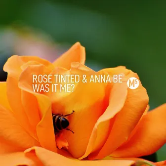 Was It Me? by Rose Tinted & Anna Be