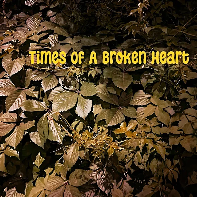 Times Of A Broken Heart