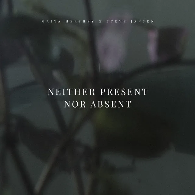 Neither Present Nor Absent