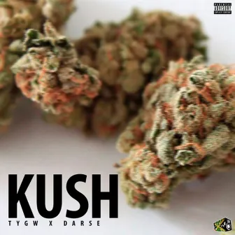 Kush by TYGW