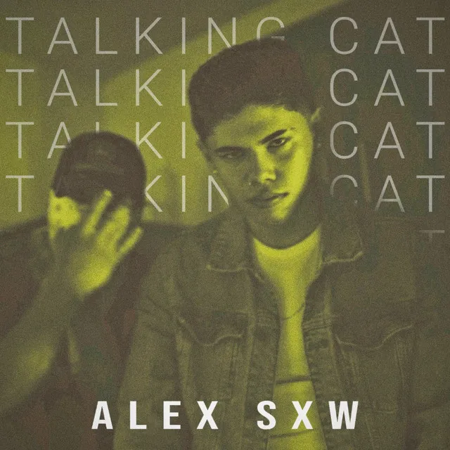 Talking Cat