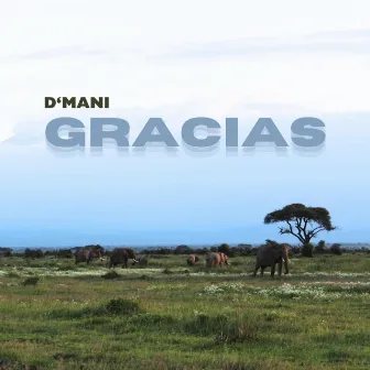 Gracias by D'mani