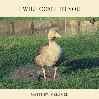 I Will Come to You by Matthew Melamed