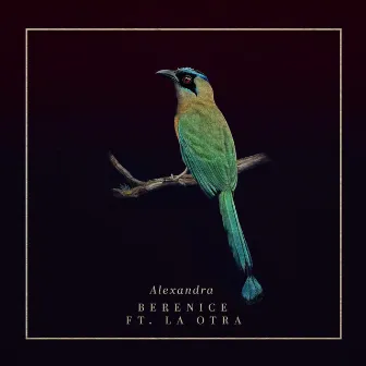 Alexandra by Los Locos Descalzos