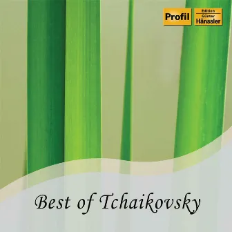 Best of Tchaikovsky by Werner Radke