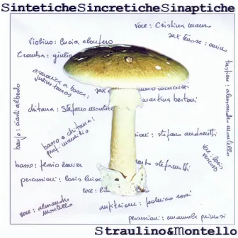 Sintetiche Sincretiche Sinaptiche by Lino Straulino