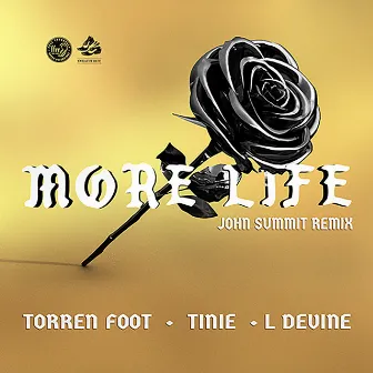 More Life (feat. Tinie Tempah & L Devine) [John Summit Remix] by Torren Foot