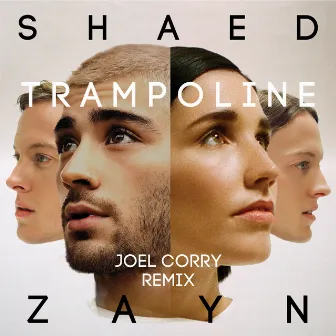 Trampoline (Joel Corry Remix) by ZAYN