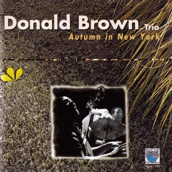 Autumn in New York by Donald Brown