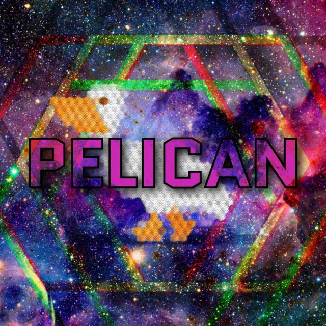 Pelican