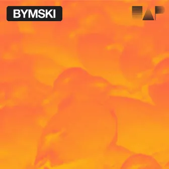 Bymski - Birds (Follow Me) / Forgiven by Bymski