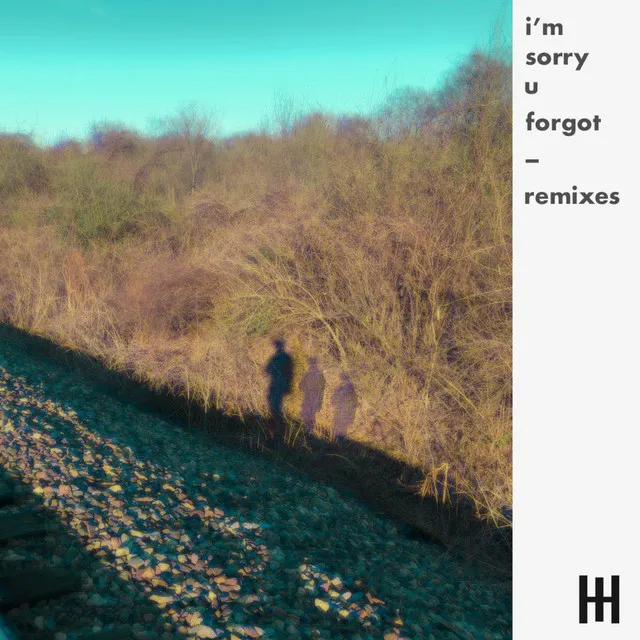 i'm sorry u forgot - Inflake remix