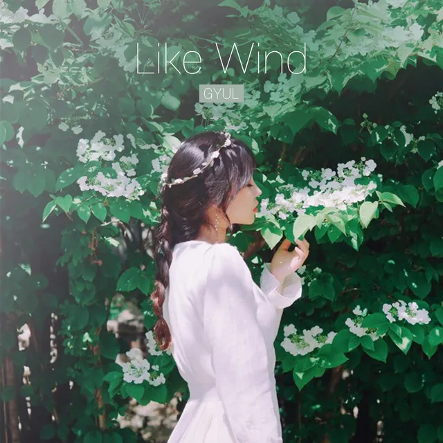 Like Wind