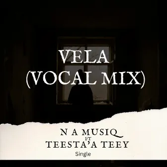 VELA (Vocal Mix) by N A Musiq