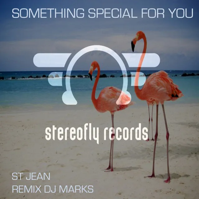 Something Special For You - DJ Marks Remix