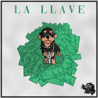 Llave by Boyflow