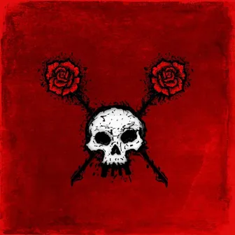 Skulls & Roses by Alicœurbrisé