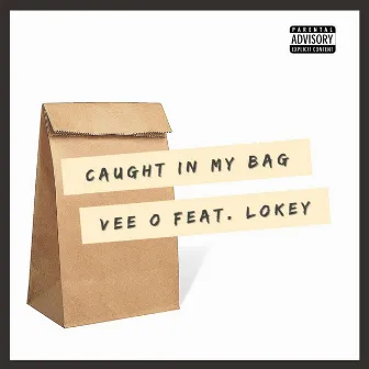 Caught In My Bag by Vee O