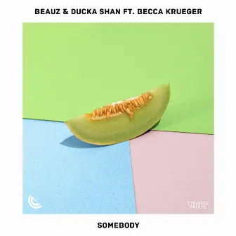 Somebody by Becca Krueger