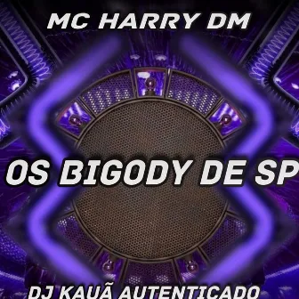 OS BIGODY DE SÃO PAULO by MC Harri DM