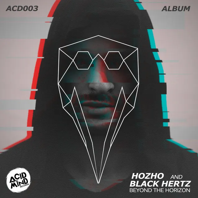 Insanity and Madness - Hozho Remix