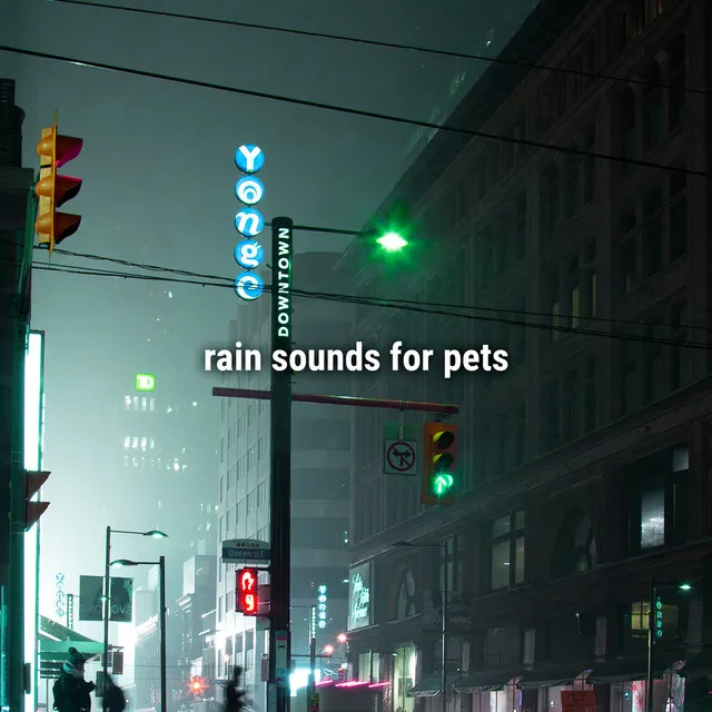 rain sounds for pets