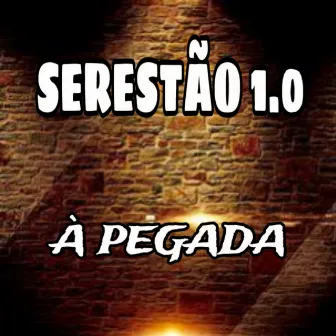 Serestão 1.0 by Dj Mt no Beat