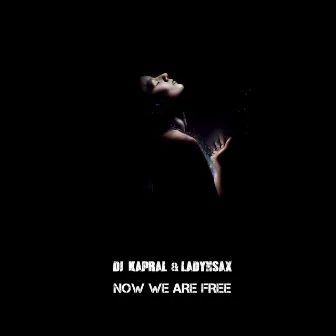 Now We Are Free by DJ Kapral