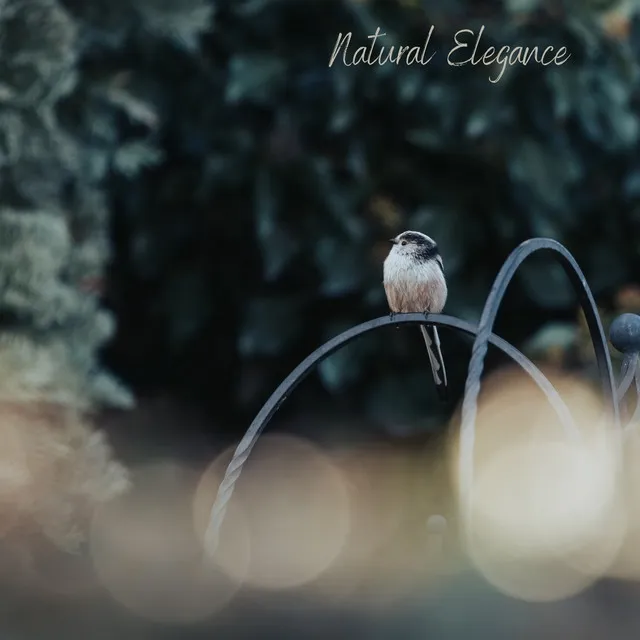 Natural Elegance