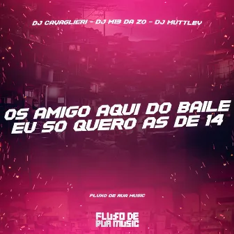 Os Amigo Aqui do Baile X Eu Só Quero as de 14 by Dj Muttley