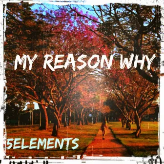 My Reason Why by 5 Elements