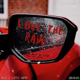 Love the Rain by DALT