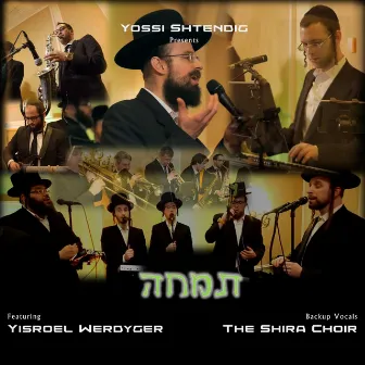 Timche by Yisroel Werdyger