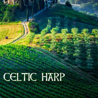 Celtic Harp - Christmas Soundscapes for Relaxation by Harp