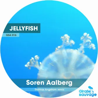 Jelly Fish by Soren Aalberg