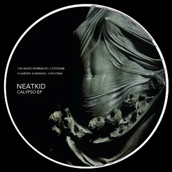 Calypso - EP by NEATKID