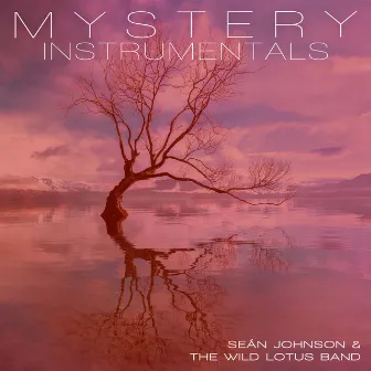 Mystery (Instrumental) by Sean Johnson & The Wild Lotus Band