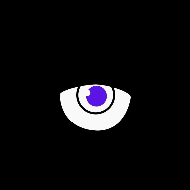 Seeing Eye